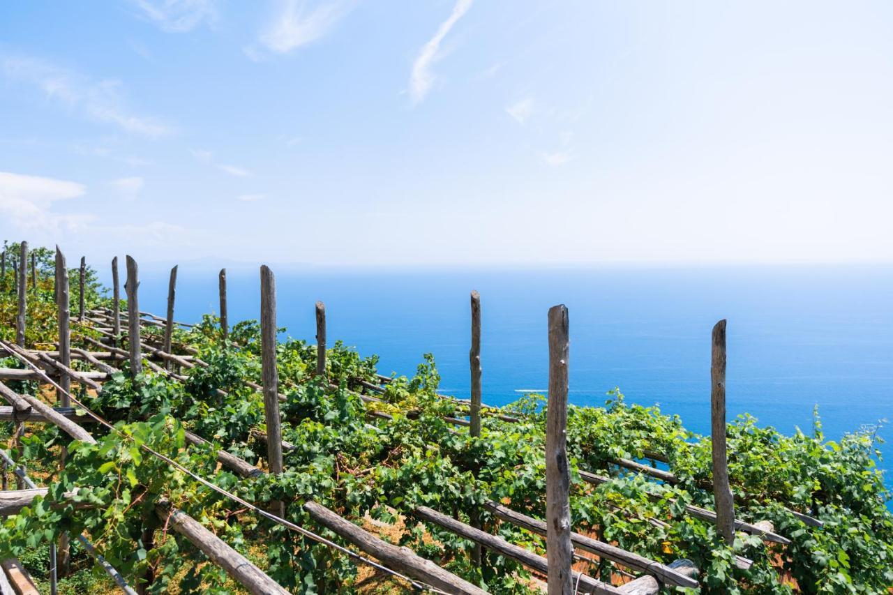 La Vigna Di Bacco * Furore